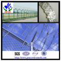 Galvanized Razor Wire (RW00) /Hot Dipped Galvanized Razor Wire